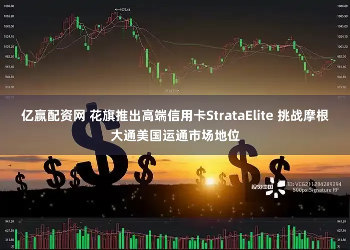 亿赢配资网 花旗推出高端信用卡StrataElite 挑战摩根大通美国运通市场地位
