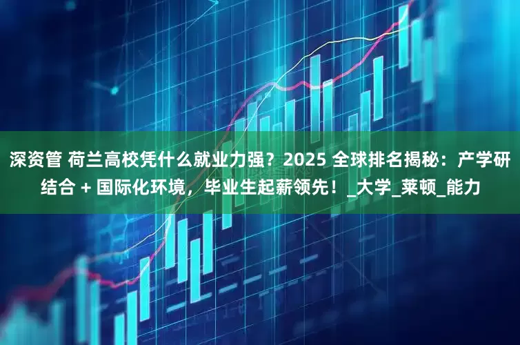 深资管 荷兰高校凭什么就业力强？2025 全球排名揭秘：产学研结合 + 国际化环境，毕业生起薪领先！_大学_莱顿_能力