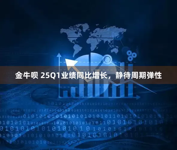 金牛呗 25Q1业绩同比增长，静待周期弹性
